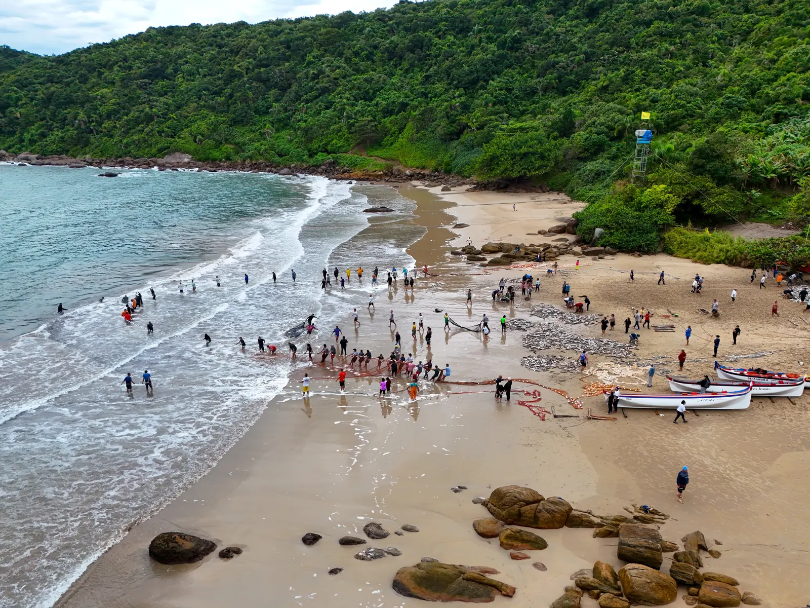 Pesca artesanal da tainha