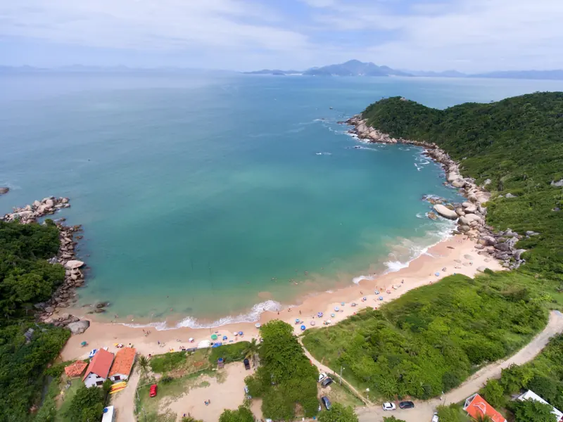 Tainha